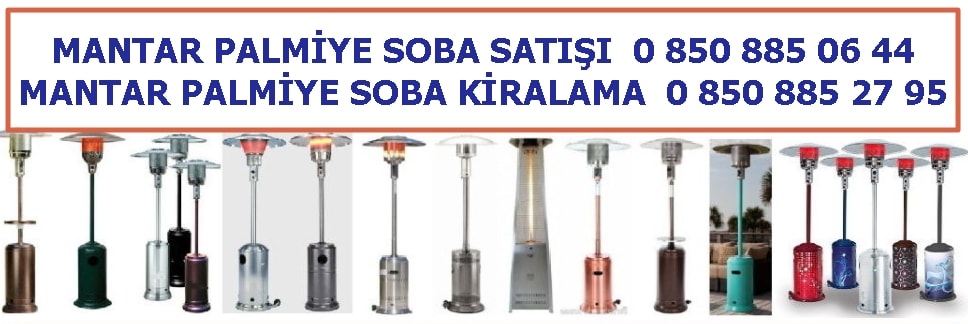 Bitlis Mantar Palmiye soba satışı kiralama fiyatı